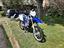 Immagine 6