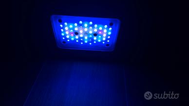 Luce acquario Radeon echotek g5 pro xr 15
