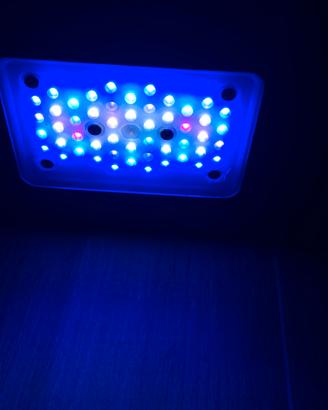 Luce acquario Radeon echotek g5 pro xr 15