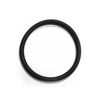 Guarnizione Didiesse Frog