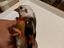 Immagine 2
