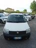 fiat-panda-1-3-mjt-van-active-2-posti-010