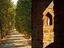 Immagine 20