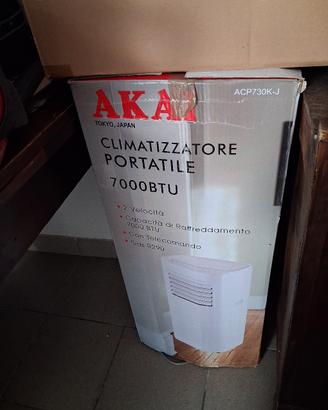 condizionatore portatile