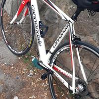 Bici da corsa carbonio Cannondale supersix taglia 