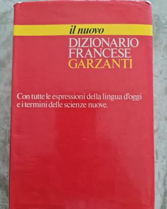 dizionario francese