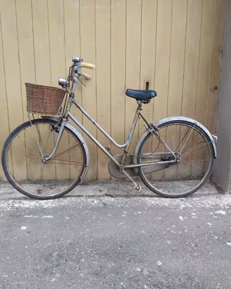 Bici grigia con cestino