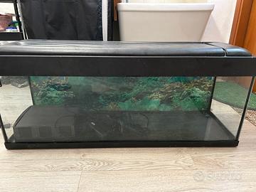 Acquario 120 litri
