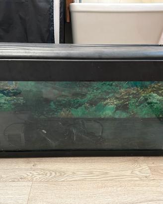 Acquario 120 litri