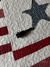 Centralina SMART IAT BMW R1200GS