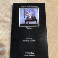 Romanzo "Niebla" di Miguel de Unamuno