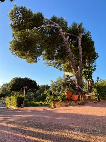 Villa al Plemmirio con terreno di pertinenza