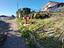 Immagine 14