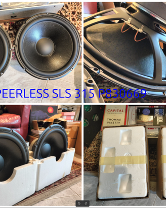 Altoparlanti Woofer Mid Seas Peerless