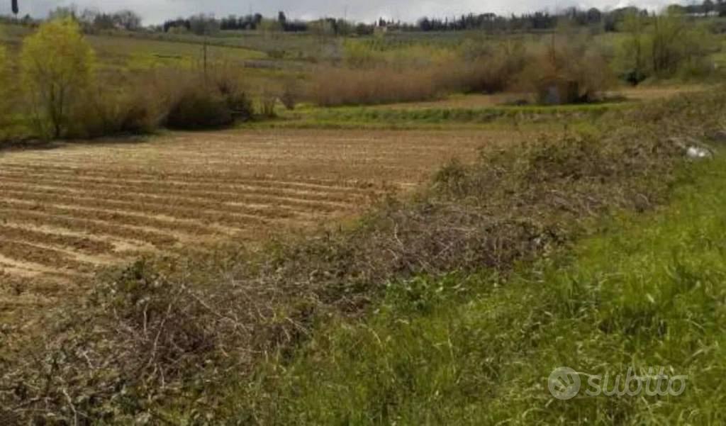 Immobile in asta di 101390 m² a Capannoli - Vista 4