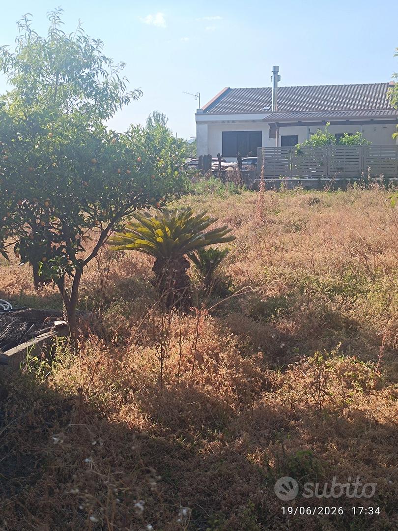 Terreno con deposito - Vista 4