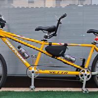 TANDEM ELETTRICO MOTORE CENTRALE BATTERIA 720W