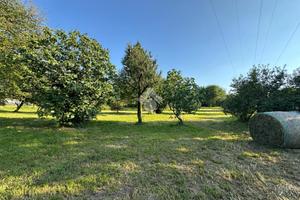 TER. AGRICOLO A ARTOGNE