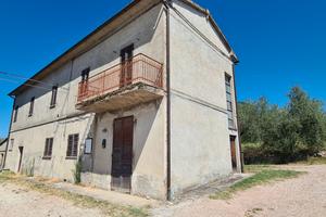 Casa singola con ulivi,vigneto,annesso condonato