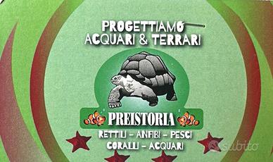 Buoni scontati negozio animali