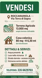 Vendita terreno agricolo 13,000mq