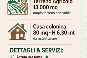 Vendita terreno agricolo 13,000mq