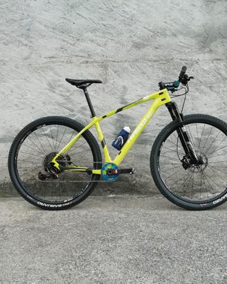 MTB 29" carbonio