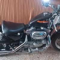 Sportster 883 asi fmi