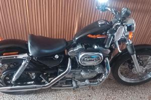 Sportster 883 asi fmi