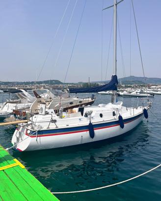 Barca Marvier Fenicia 37