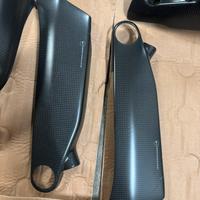 Carbonio ducati v4/v4s