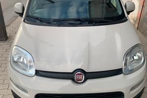 Fiat Panda 1.2 Benzina