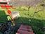 Immagine 13