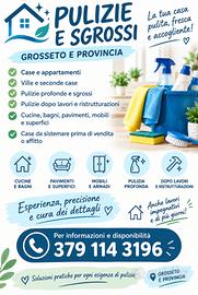 Pulizie Professionali: Case, Ville e Locali