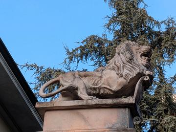 Leoni in marmo rosa