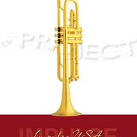 Tromba NM PROJECT «Impulse USA» (2)