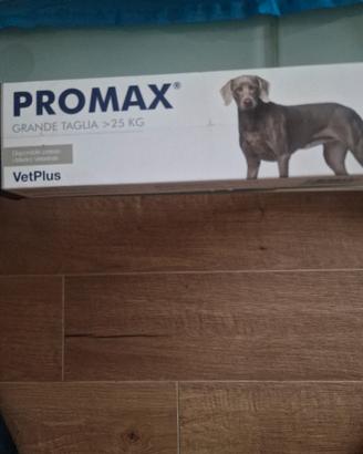 Medicine per Cane 