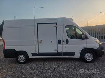 FIAT DUCATO FRIGO FRCX 2020