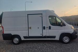 FIAT DUCATO FRIGO FRCX 2020
