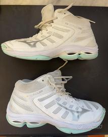 Mizuno wave voltage 2