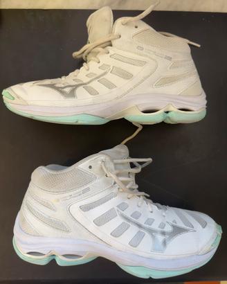 Mizuno wave voltage 2