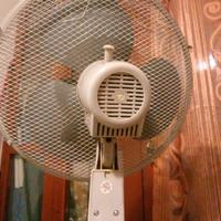 Ventilatore con asta regolabile