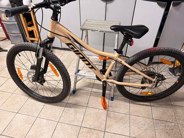 Bici mtb giant da 24