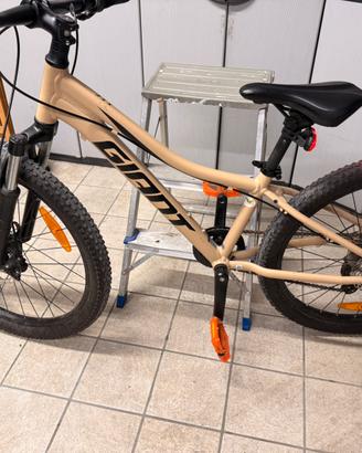 Bici mtb giant da 24