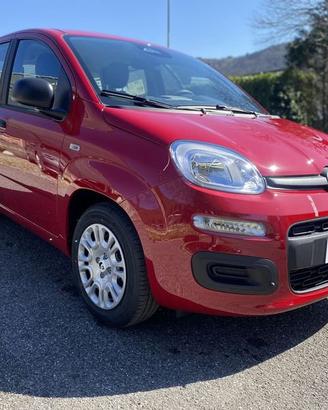 FIAT Pandina PANDA MY26 1.0 65CV HYBRID ICON