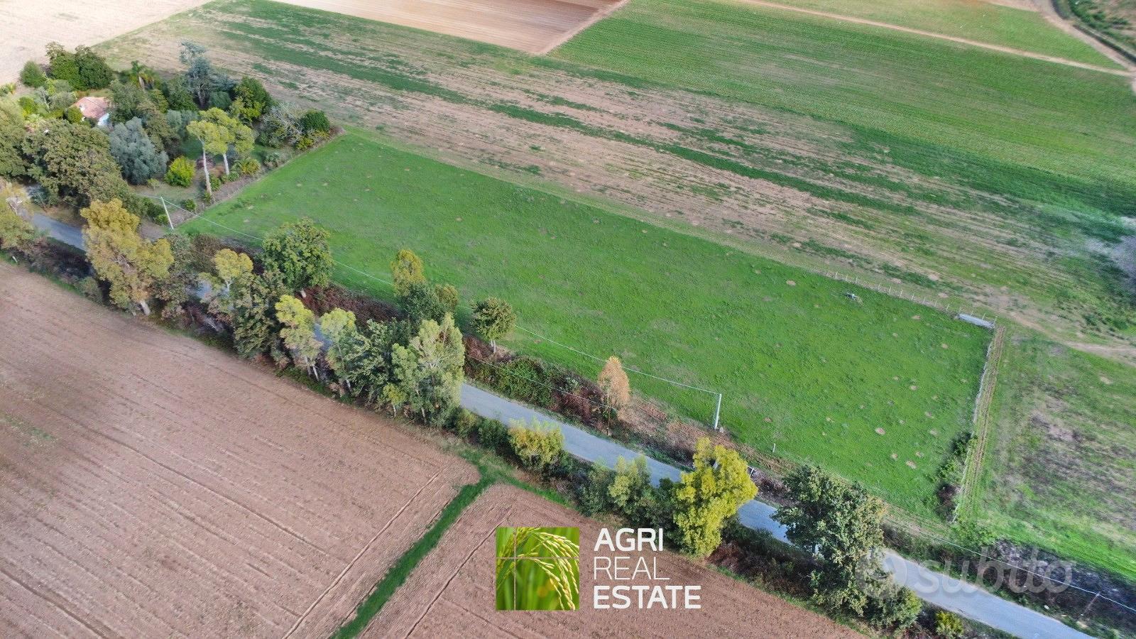 Sabaudia (LT) - Terreno 8.000 mq con pozzo | TR454 - Vista 3