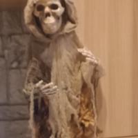 scheletro  decorativo 