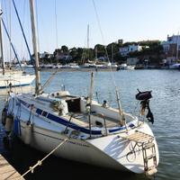 Barca a vela Comet 333