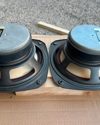 Fostex FE204 vintage
