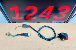 DEVIOLUCI FANTIC TRIAL 125 FM 250